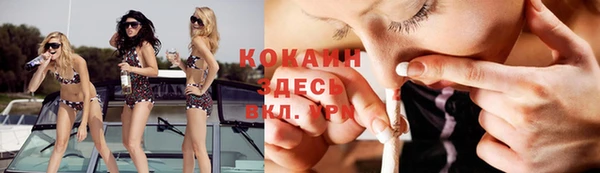 прущие крисы Володарск