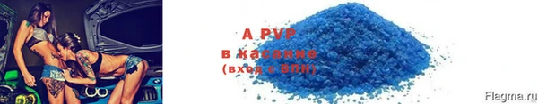 PSILOCYBIN Волосово