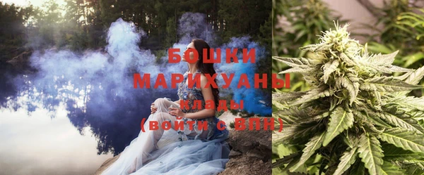 PSILOCYBIN Волосово