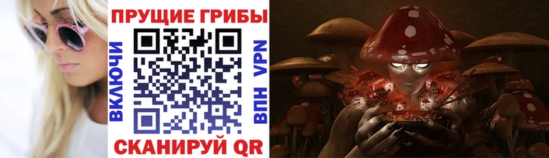что такое наркотик Всеволожск Псилоцибиновые грибы Psilocybine cubensis