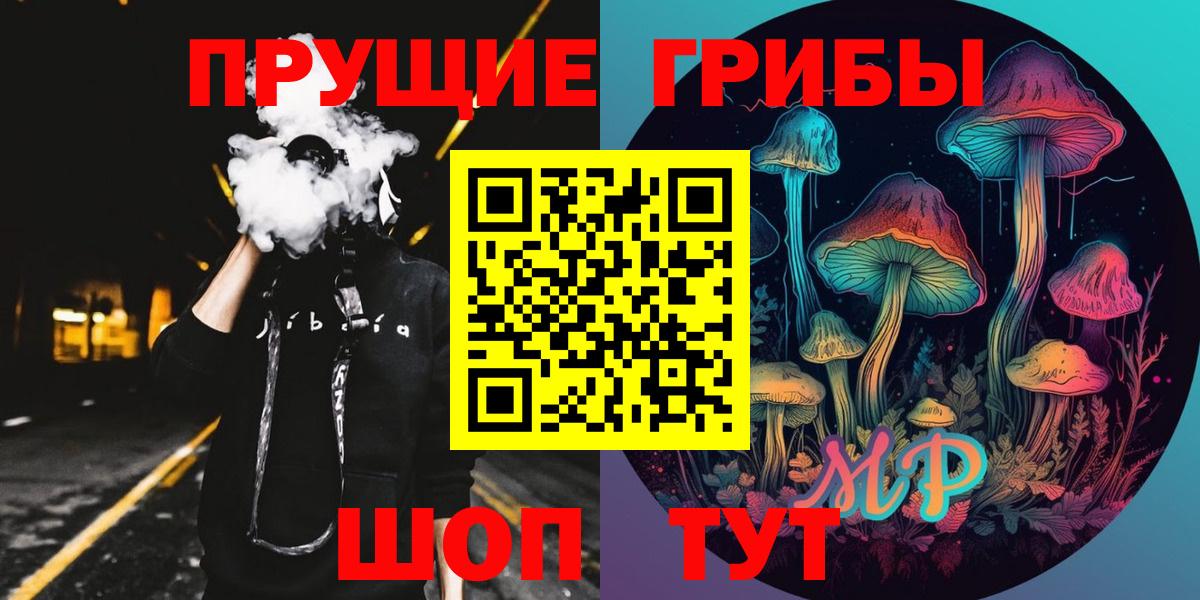 Галлюциногенные грибы Psilocybine cubensis  Всеволожск  Галлюциногенные грибы прущие грибы 