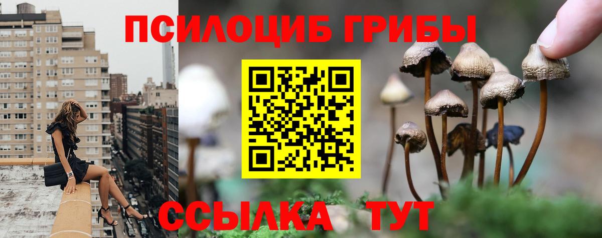 где продают   Псилоцибиновые грибы GOLDEN TEACHER  Вход с VPN  Всеволожск 